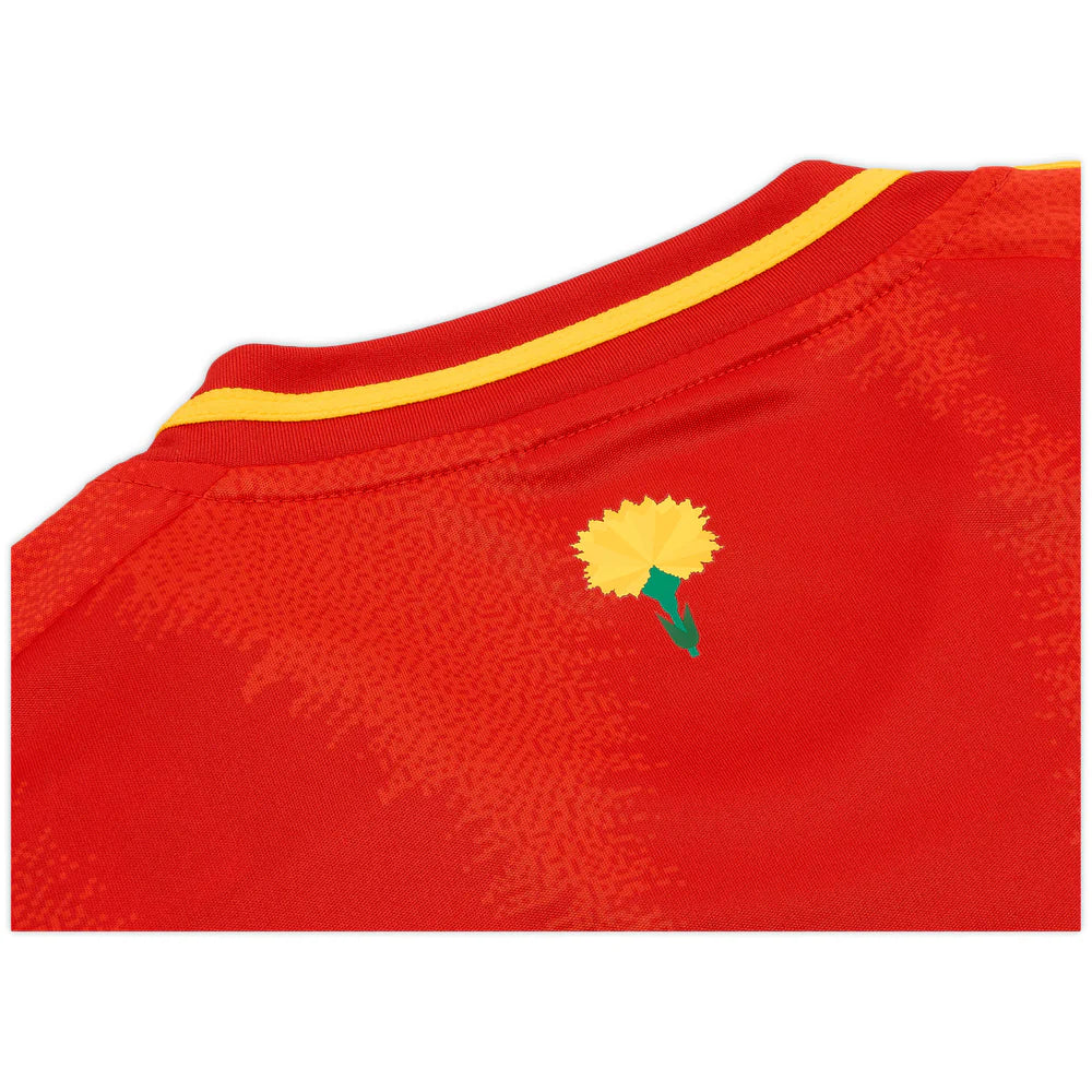 Spain 24/25 Euro Home Jersey